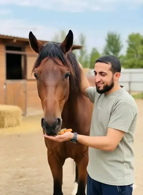 محمد زكي حمد يطعم حصانًا بنّيًا جزرًا من كفّه، مبتسمًا